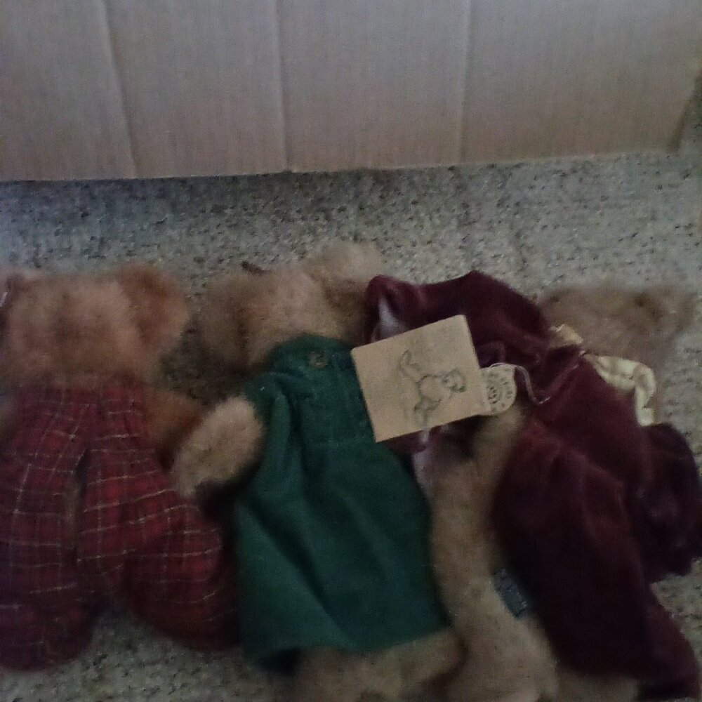 Boyd's bears - Picture 2 of 2
